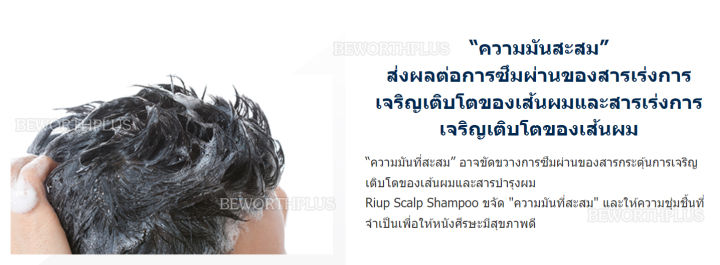 พร้อมส่ง-แชมพูtaisho-seiyaku-preriup-scalp-shampoo-for-men-400ml-กลิ่นซิตรัสสดชื่น-ช่วยป้องกันรังแคและอาการคัน