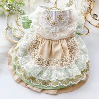 Dog Dresses for Small Dogs Autumn Cat Princess Dress Green Gold Trim Lolita Fresh Small Dog Teddy Pet Costume Dresses