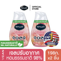 Renuzit Wildflower Dream รีนูซิต เจลปรับอากาศ กลิ่นไวลด์ฟาวเวอร์ดรีม 198 กรัม (2ชิ้น)