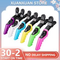 Hot 2/6/10Pcs/Set Hairstyling Clipper Tool Alligator Hair Clip Hairdressing Hairpin Ladies Plastic Professional Fashion