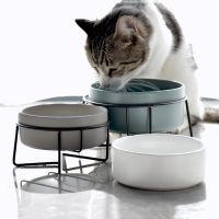 Double Cat Food Water Bowls with Stand Ceramic Pet Feeding Accessories Cats Small Dogs Eat Drink Supplies Puppy Feeder Bowl