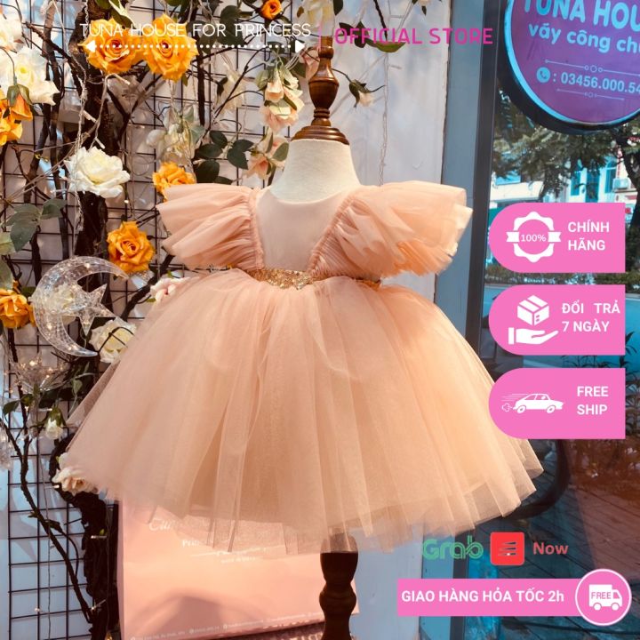 Sẵn size 6-35kg] Váy đầm xoè công chúa thiết kế cho bé gái cánh ...
