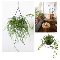 Nordic Style Circle Metal Plant Hanger Chain Hanging Basket Ceiling Planter Flower Pot Holder Garden Balcony Decoration