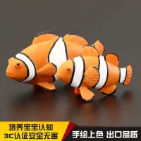 Childrens simulation animal toys marine model set solid clownfish anemone fish early education cognitive