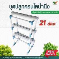 ?สุดพิเศษ ชุดปลูกคอนโด ระบบน้ำนิ่ง 21 ช่อง by hydroponicgroup สุดคุ้ม