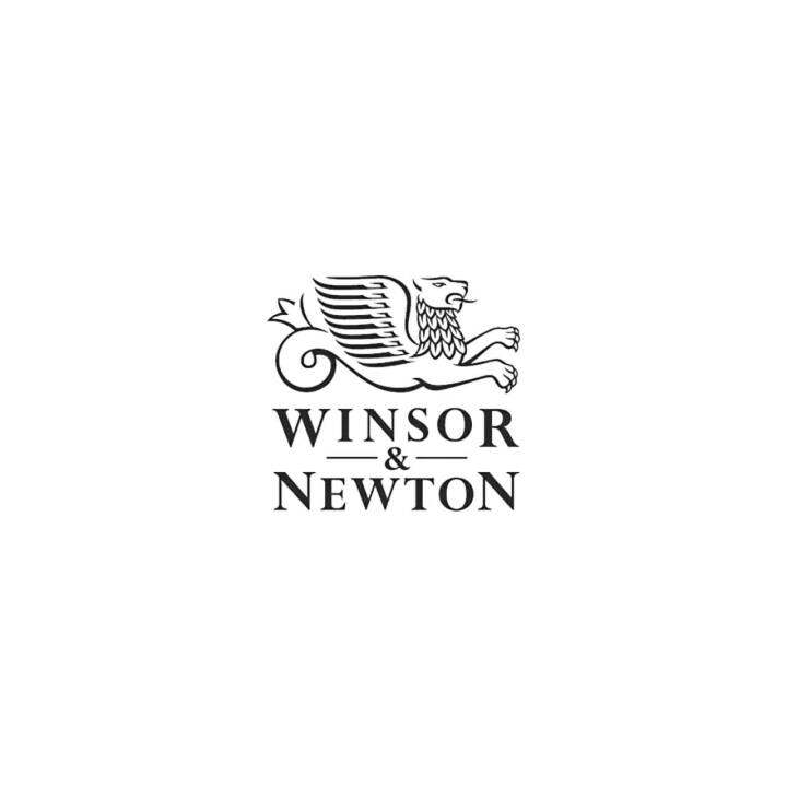 Winsor & Newton Cotman Acquerello In Tubo 8ml – Colore Burnt Umber 076