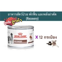 โปรโมชั่นโหด ส่งฟรี Royal Canin อาหารสัตว์พักฟื้น Recovery (แมว+หมา) 12 กระป๋อง(หมดอายุ : 26/02/2023)