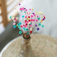 【CC】 30pcs Dried Flowers Small Star Bouquet for Wedding Decoration Floral