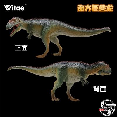 Vitae for it Hong Kong Zhang Zongda Jurassic Dinosaur Tyrannosaurus Rex 96500 Southern Giganotosaurus Tyrannosaurus Toy