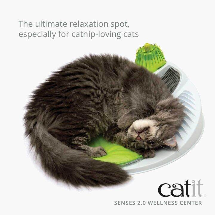 catit-แคทอิท-wellness-center-ของเล่นแมว-ที่นอน-ที่นอนแมวแคทอิท-ติดที่นวดตัวเกาขน-พร้อมยางกัดนวดเหงือก