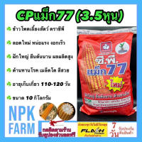 ข้าวโพดเลี้ยงสัตว์ ซีพี แม็ก77 (3.5หุน) ขนาด 10 กิโลกรัม ข้าวโพด เมล็ดกลมกลาง ลอตใหม่ งอกดี ฝักใหญ่ ยืนต้นนาน ต้านทานโรค อายุเก็บ 110-120 วัน