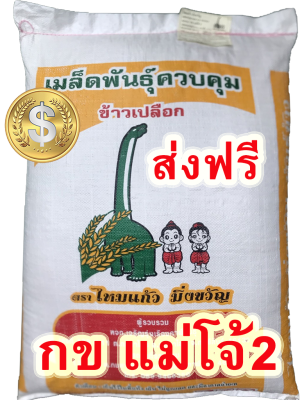 (ส่งฟรี) กข แม่โจ้2   ข้าวเหนียว กข แม่โจ้2 (25 กก.)