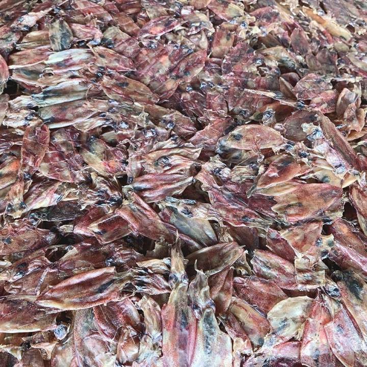 ปลาหมึกแห้ง-ปลาหมึกกระตอยน้ำหนักครึ่งกิโล-500-กรัม-มีบริการเก็บเงินปลายทาง