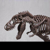 ชุดโมเดลพลาสติก132โครงกระดูกในจินตนาการ Tyrannosaurus Action Figure