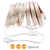 220V 110V 5730 LED Light Strip 240LEDs/M Double Row LED Strip Waterproof Ribbon Tape with EU/US/UK Switch Plug White/ Warm White