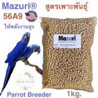 อาหารนก Mazuri 56A9 สูตรพลังงานสูงสำหรับนกเพาะพันธุ์ นกวัยเด็กที่กำลังเจริญเติบโต นกขนาดกลา-ขนาดใหญ่ มาคอว์กระตั้ว เกรย์ อิเล็กตัส