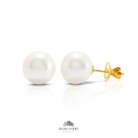 ต่างหู ไข่มุก Australian South Sea Pearl Earrings