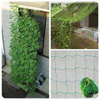 【CW】 1PC Networks Garden Support Nets Vines Petunia Trellis Potted Fence Anti Net Mesh