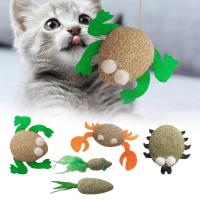 Edible Catnip Pet Toy Lick Healthy Safe Removable Grinding Kitten Chew Toys Licking Snacks Clean Teeth Game Cat Supplies Toys