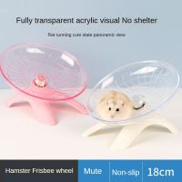 Hamster Sport Rat Small Rodent Mice Jogging Gerbil Exercise Balls Accessories