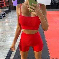 Workout Clothes Sets Women