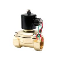 1 Brass Solenoid Valve 24V 12V 220V 110V Normally Closed Solenoid Valve For Gas Valves