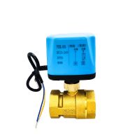 1 Normally Closed/Open Motorized Ball Valve 220V 12V 24V 2-Wire Brass Electric Ball Valve Replace Solenoid Valve