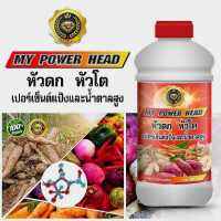 MY POWER HEAD มาย พาวเวอร์ เฮด  ปุ๋ย หัวดก หัวโต  เปอร์เซ็นต์แป้งและน้ำตาลสูง PSK2005