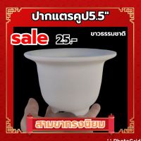 ปากแตร5.5คูปขาวธรรมชาติยกโหล12ใบแถมหมาน้อย