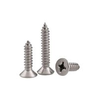 [HOT JIAZZAQQMGW 555] M2 M2.2 M2.6 M3 Phillips สกรู Countersunk สกรูแตะด้วยตนเอง Self โจมตีด้ายเล็บ316สแตนเลสทนต่อการกัดกร่อน