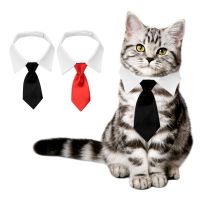 Fashion Pet Accessories Solid Color Cat Dog Collar Bow Tie Adjustable Cotton Puppy Kitten Neck Strap Formal Necktie for Wedding