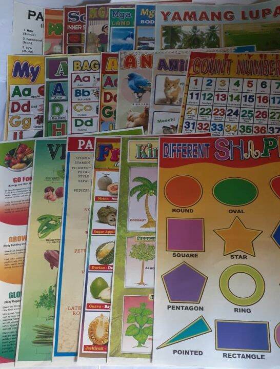 Paper Educational Wall Charts Lazada PH