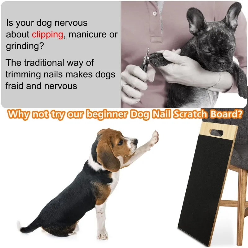 Details 160+ dog nail scratchboard songngunhatanh.edu.vn