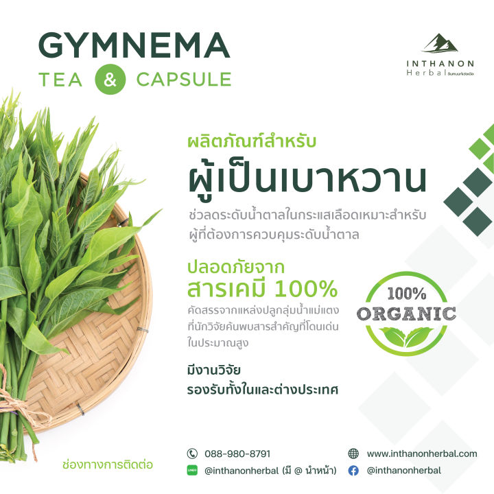 gymnema-tea-จิมเนม่า-ชาชง-ชาสมุนไพรออร์แกนิกจากธรรมชาติ-เหมาะสำหรับผู้ป่วยเบาหวาน-ช่วยลดน้ำตาลในเลือด-dried-gymnema-mixed-with-lemongrass-and-pandanus