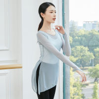 Adult Mesh Oriental Latin Belly Dance Top Transparent Blouse Shirt Costume for Sale Women Dancing Clothes Dancer Wear Clothing