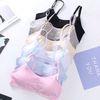 【jw】✧◈☇  Kids Cotton Training Teens Adjustable Children Teenagers Bras