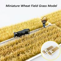 Simulation Miniature Wheat Field Grass Model Materials For Making Military Sand Table HO Train Railway Scene Layout Diorama Kits Nails Screws Fastener