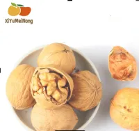 [XiYuMeiNong paper-skin walnut 250g] Xinjiang specialty nut snack walnut
