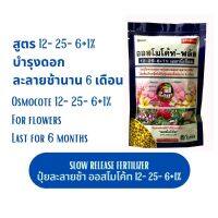 ปุ๋ยเม็ดละลายช้า ออสโมโค้ส สูตรดอก 6 เดือน ขนาด 100 กรัม (Osmocote-plus) 12-25-6+1% magnesium (6 months)