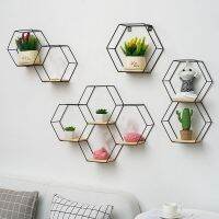 Nordic Wall Mounted Floating Hexagon Shelf Metal Framed Storage Holder Rack With Wooden Board Geometric Frame Stand Home Decor