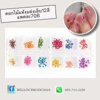 ดอกไม้แห้ง12สีสำหรับตกแต่งเล็บ