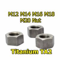 [HOT JIAZZAQQMGW 555] M12 M12 M14 M16 M18 M20ไทเทเนียม Nut GR2 Nut Hexagon Nuts สกรู