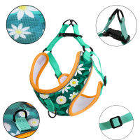 Breathable Dog harness and leash Set Cartoon Pattern harness Dog no pull for small medium dogs Cat harness Comfort supplies