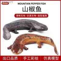 ? ของขวัญ จำลองสัตว์สะเทินน้ำสะเทินบกรุ่น solid static salamander ยักษ์ เด็กของเล่นความรู้ความเข้าใจทรายตกแต่งตาราง