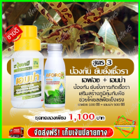 เอมม่า ปุ๋ยน้ำเอมม่า ( 500 ซีซี ) ป้องกันการเกิดเชื้อราในพืช + เอฟอช Aforch ( 100 ซีซี ) สารจับใบ ของแท้ 100%