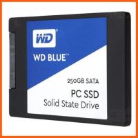 สินค้าขายดี Ssd 250 gb WD blue 3dnand ##ที่ชาร์จ แท็บเล็ต ไร้สาย เสียง หูฟัง เคส Airpodss ลำโพง Wireless Bluetooth โทรศัพท์ USB ปลั๊ก เมาท์ HDMI สายคอมพิวเตอร์