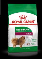 Royal canin Mini indoor adult 500g  อาหารสำหรับสุนัขพันธุ์เล็กเลี้ยงในบ้าน