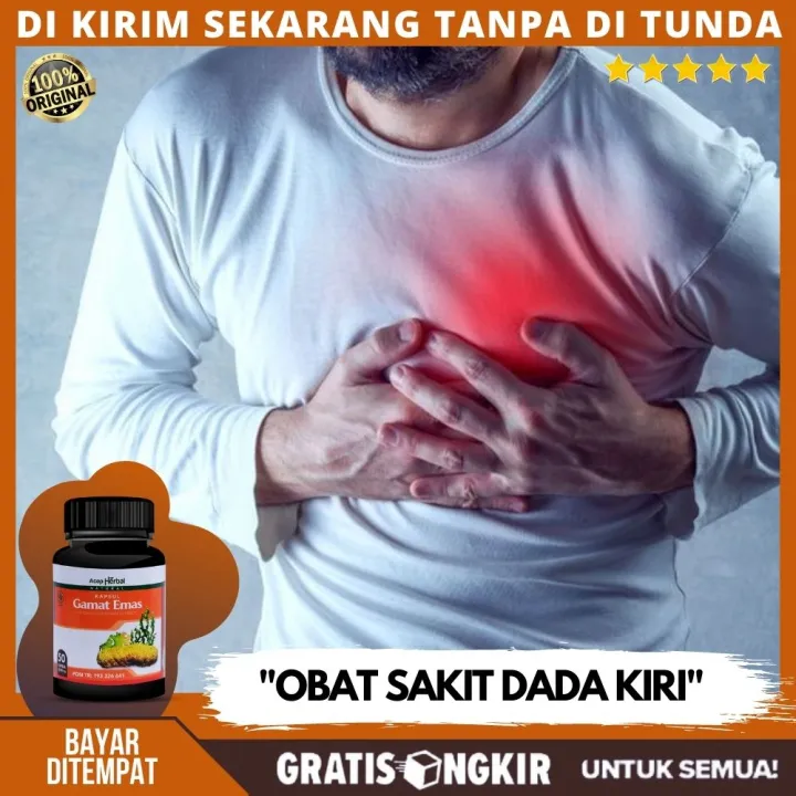 Obat Buat Sakit Dada Kiri, Obat Nyeri Dada Herbal, Penghilang Sakit ...