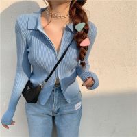 ✲∈ Knitted T Shirt Long Sleeve Shirt Short Sleeve Shirt Women Polo Shirt