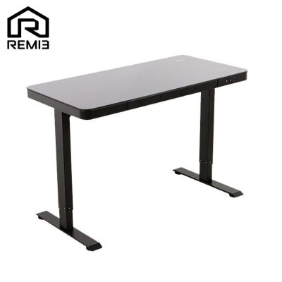 REM13 โต๊ะปรับระดับไฟฟ้า SMART DESK รุ่นPremium ระยะปรับ60-125ซม. โต๊ะขนาด120x60ซม.